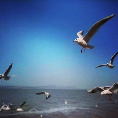 江湖谋生记hd游戏下载